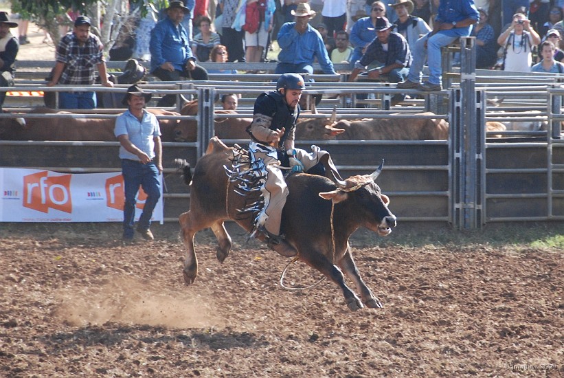 46- Rodeo.JPG